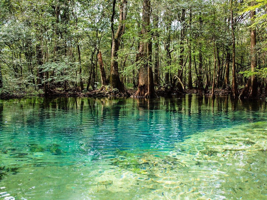 Water environment